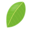 leef